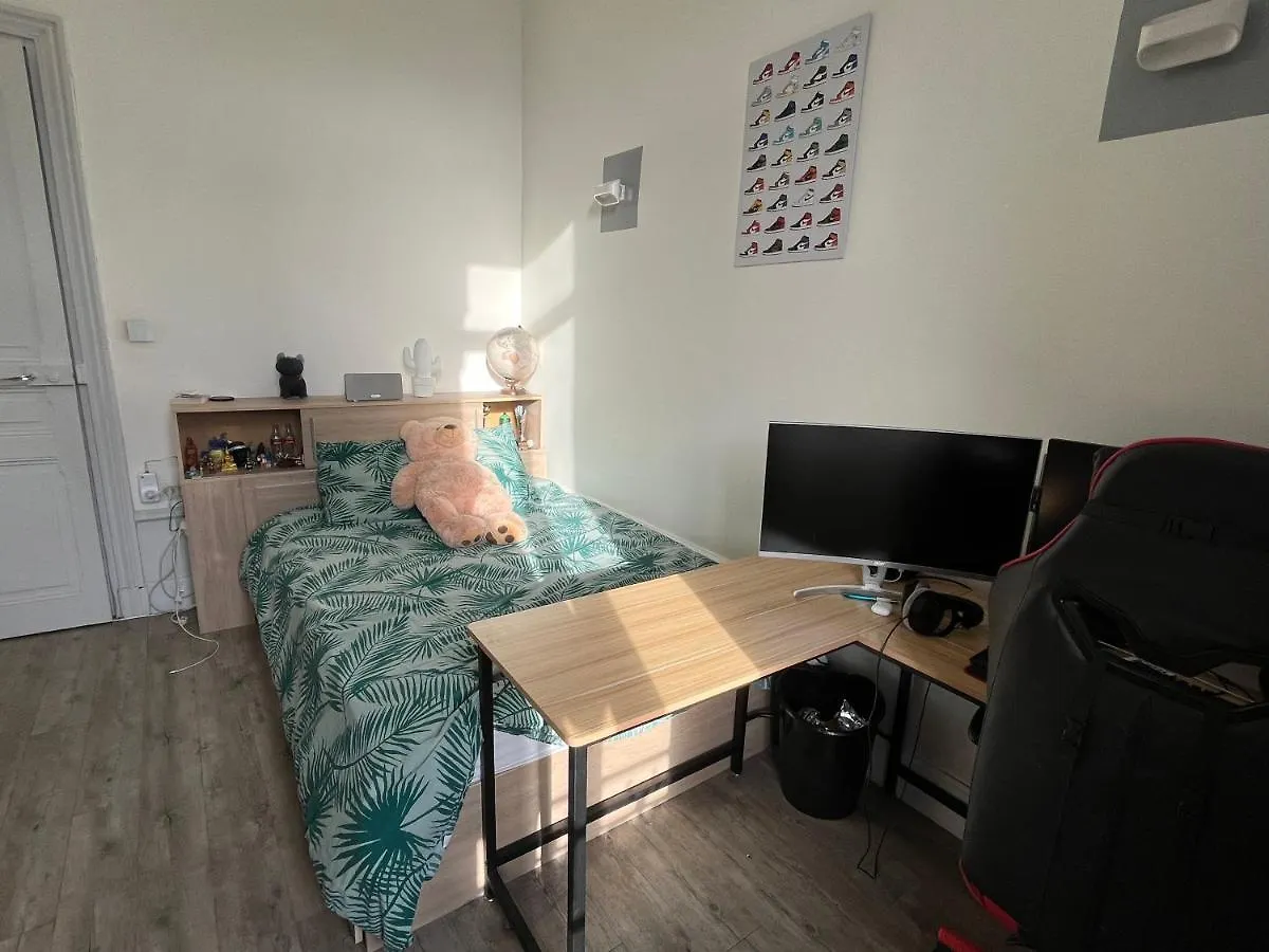 Grand appartement de la Verveine,160m2,terrasse,centre-ville Le Puy-en-Velay